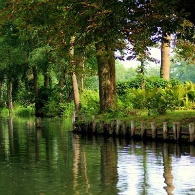 威尼斯欢乐娱人棋牌手机app下载