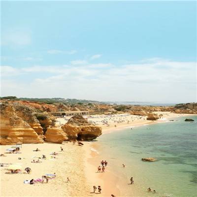 半岛官方APP入口下载手机版