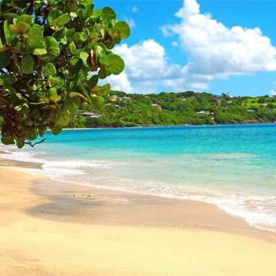 亚博·yabo下载手机版