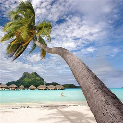 半岛bob综合登入手机app下载