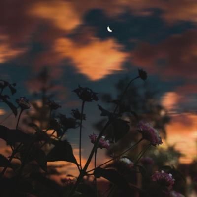 亚博网APP最新版本手机版