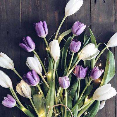 开开棋牌下载手机版